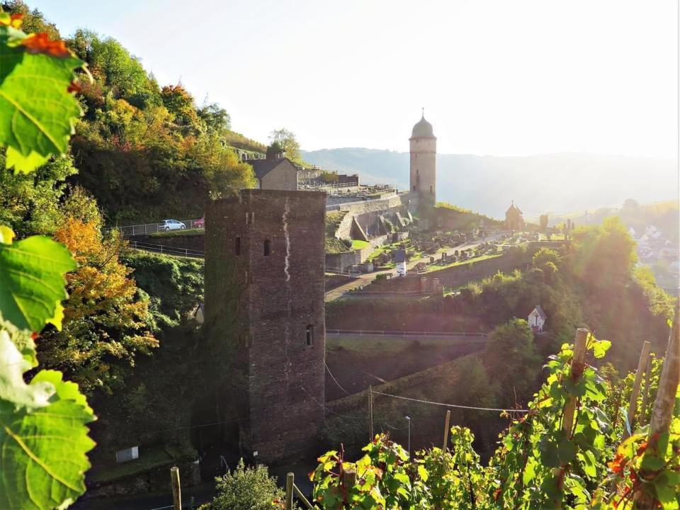 Hotel Haus Marientaler Au Gbr Zell an der Mosel Exteriér fotografie